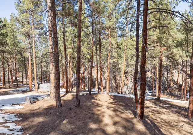 4th image of 1437 Stock Farm Rd, Hamilton, MT 59840 | MLS# 30071495