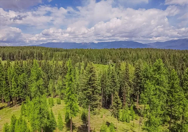78th image of 16 Porcupine Ridge Rd, Fortine, MT 59918 | MLS# 30070866