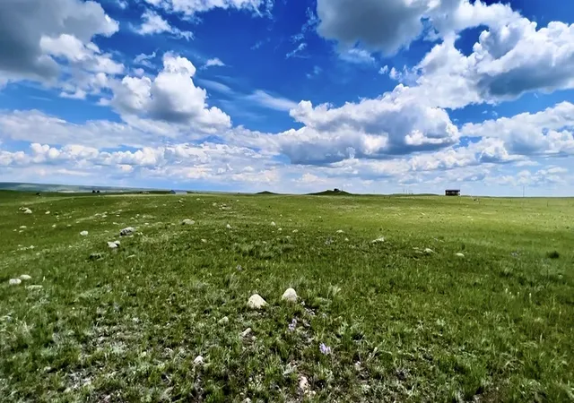 Homes for sale in Augusta, MT | Lot 216 S Tamarack Dr, Augusta, MT 59410 | MLS# 30071377