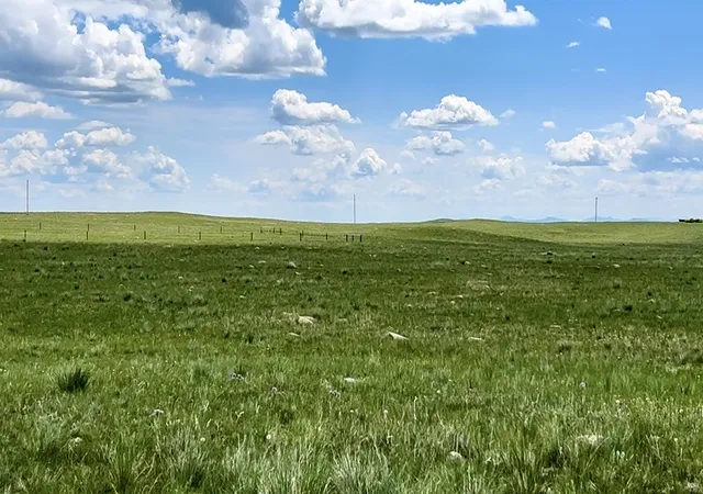 Homes for sale in Augusta, MT | Lot 216 S Tamarack Dr, Augusta, MT 59410 | MLS# 30071377