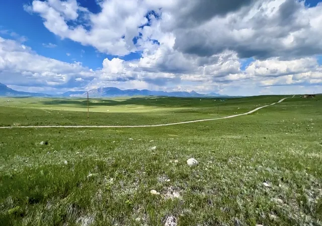 Photo 3 of Land for sale at Lot S 216 Tamarack Dr, Augusta, MT 59410 | MLS# 30071377 | Listing updated on 2026-07-01