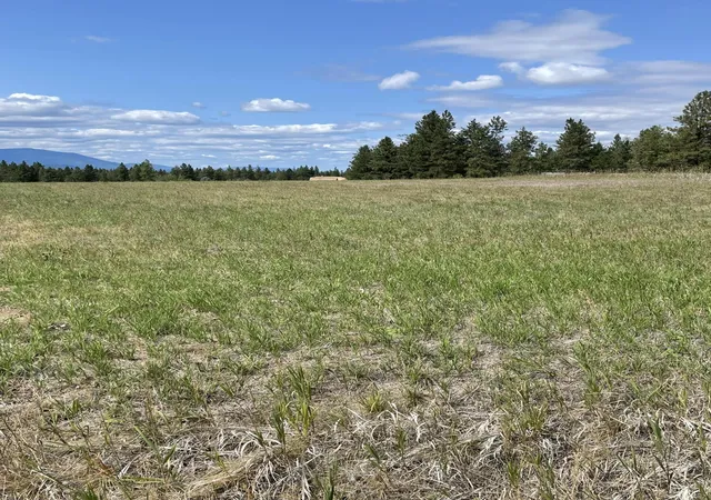 2nd image of 286 Wilderness Club Dr, Eureka, MT 59917 | MLS# 30069097