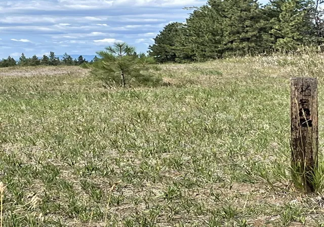 3rd image of 286 Wilderness Club Dr, Eureka, MT 59917 | MLS# 30069097