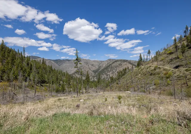 Homes for sale in Lolo, MT | (Undisclosed), Lolo, MT 59847 | MLS# 30070731