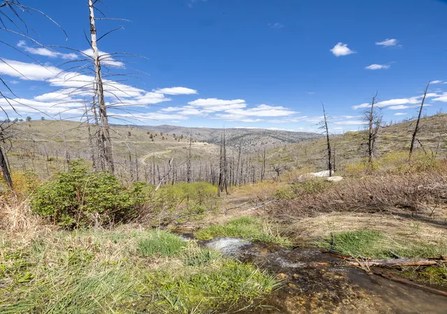 Homes for sale in Lolo, MT | (Undisclosed), Lolo, MT 59847 | MLS# 30070731