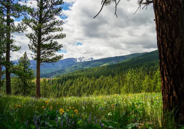 4th image of Nhn Dry Smith Rd, Victor, MT 59875 | MLS# 30071389