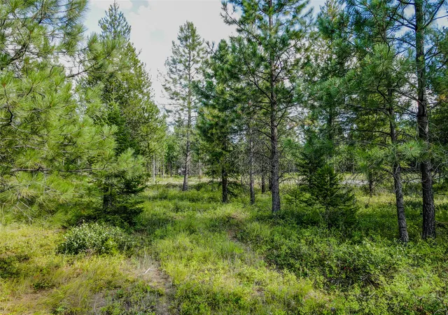 Homes for sale in Troy, MT | Nhn Little Bear Loop, Troy, MT 59935 | MLS# 30071333