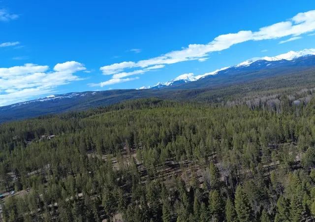 8th image of 336 Old Barn Rd, Seeley Lake, MT 59868 | MLS# 30071046