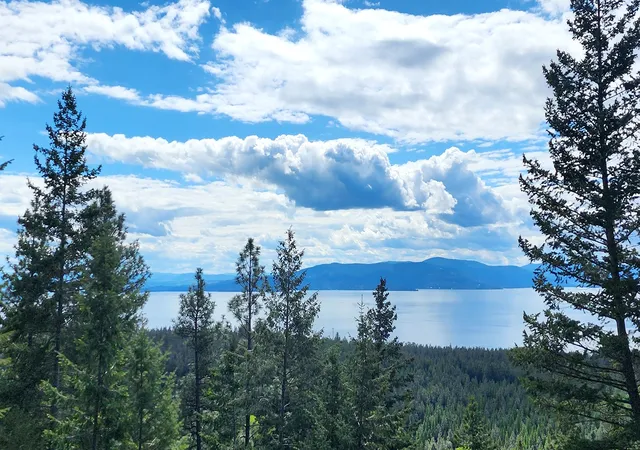 Homes for sale in Bigfork, MT | 31683 Lake To Sky Dr, Bigfork, MT 59911 | MLS# 30071322
