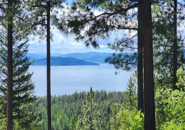 Homes for sale in Bigfork, MT | 31683 Lake To Sky Dr, Bigfork, MT 59911 | MLS# 30071322