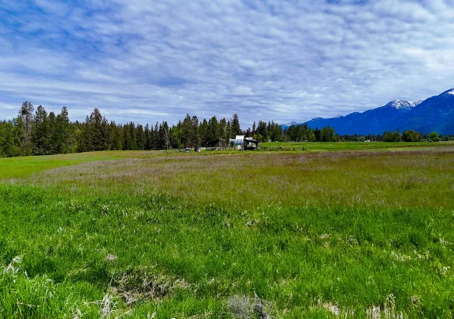 Homes for sale in St Ignatius, MT | Nhn Hillside Rd, St Ignatius, MT 59865 | MLS# 30071392