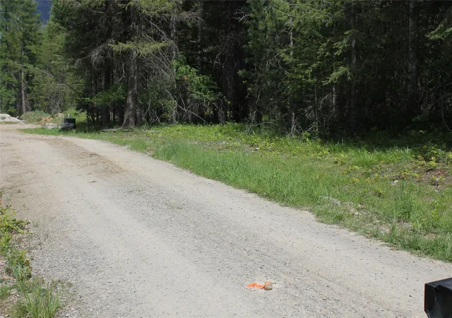 Photo 5 of Land for sale at 2773 Mt Hwy 200, Trout Creek, MT 59874 | MLS# 30071288 | Listing updated on 2026-09-01
