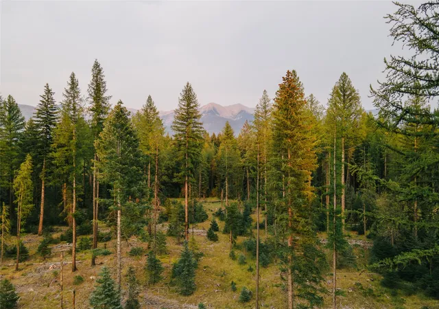 1st image of Nhn Styler Dr, Condon, MT 59826 | MLS# 30071645