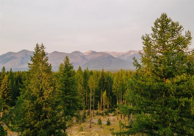 3rd image of Nhn Styler Dr, Condon, MT 59826 | MLS# 30071645