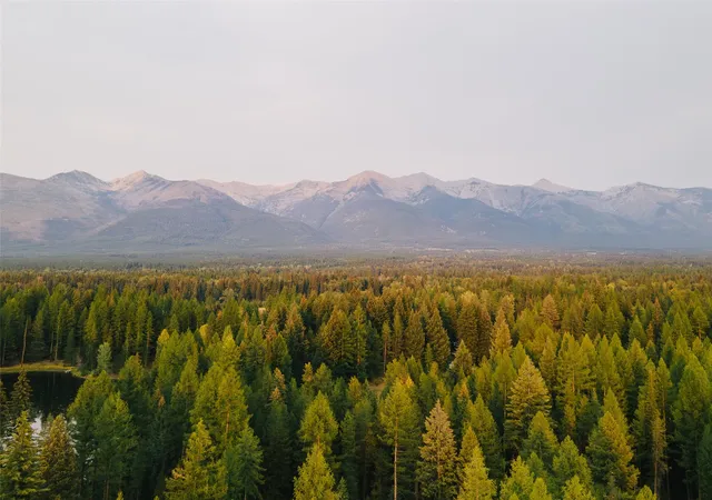 4th image of Nhn Styler Dr, Condon, MT 59826 | MLS# 30071645