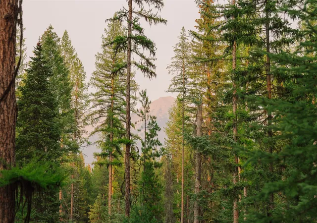 5th image of Nhn Styler Dr, Condon, MT 59826 | MLS# 30071645