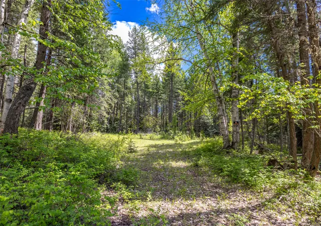 2nd image of Nhn Red Hawk Dr, Bigfork, MT 59911 | MLS# 30071458