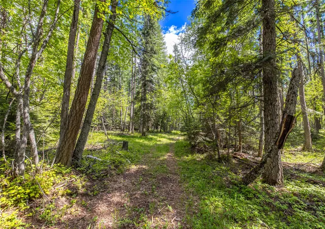 3rd image of Nhn Red Hawk Dr, Bigfork, MT 59911 | MLS# 30071458