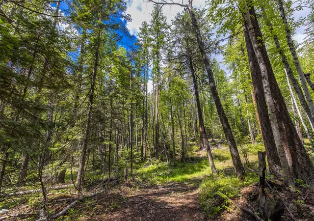 4th image of Nhn Red Hawk Dr, Bigfork, MT 59911 | MLS# 30071458
