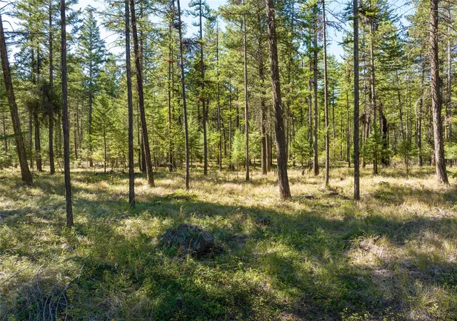 3rd image of Nhn Benchmark Dr, Lakeside, MT 59922 | MLS# 30071765