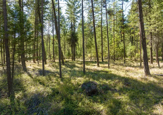 4th image of Nhn Benchmark Dr, Lakeside, MT 59922 | MLS# 30071765