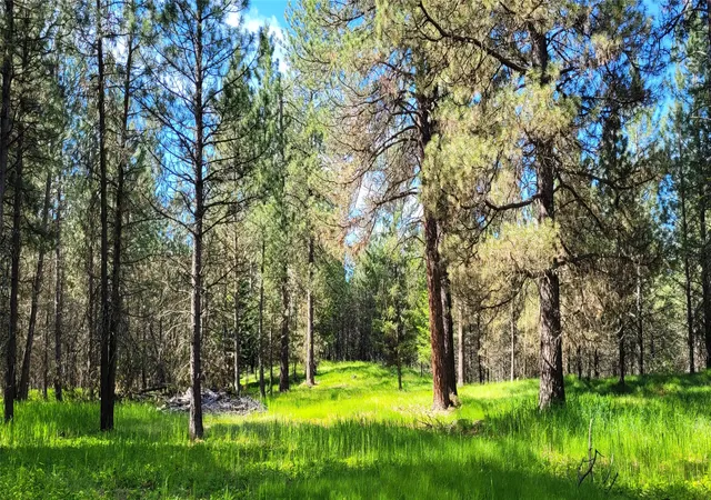 1st image of 131 Break Rd, Libby, MT 59923 | MLS# 30069735