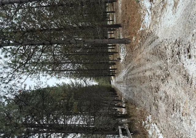 3rd image of 131 Break Rd, Libby, MT 59923 | MLS# 30069735