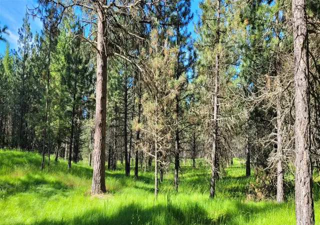 4th image of 131 Break Rd, Libby, MT 59923 | MLS# 30069735