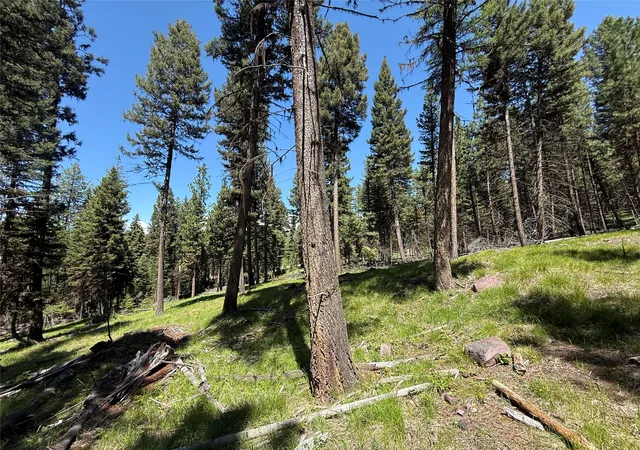 14th image of Nhn Bobcat Ln, Seeley Lake, MT 59868 | MLS# 30071719