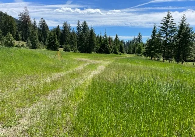 Homes for sale in Trout Creek, MT | No Address Green Mountain Rd, Trout Creek, MT 59874 | MLS# 30071866