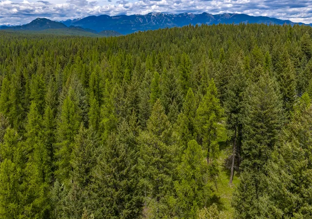 38th image of 180 Squirrel Ln, Whitefish, MT 59937 | MLS# 30071807
