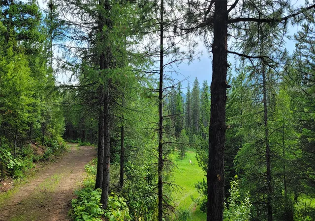 5th image of 14463 Libby Creek Rd, Libby, MT 59923 | MLS# 30069725