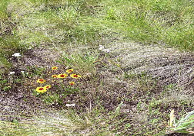 7th image of Homesite 25 Stone Horse Dr, Polson, MT 59860 | MLS# 30071938