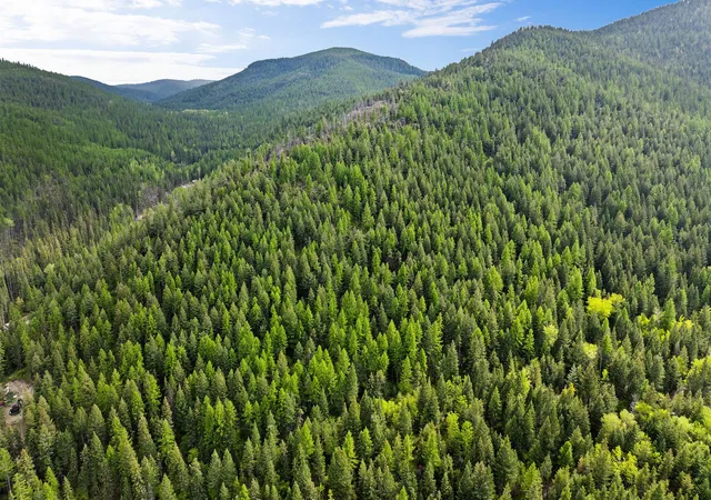 4th image of Nhn Patrick Creek Rd, Kalispell, MT 59901 | MLS# 30070872