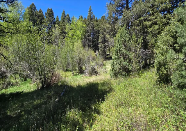 Homes for sale in Boulder, MT | Tbd Powerline, Boulder, MT 59632 | MLS# 30071918