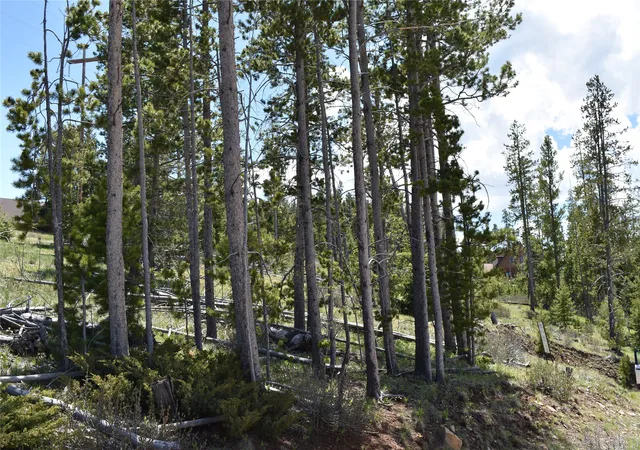 4th image of 16 Mule Deer Ln, Anaconda, MT 59711 | MLS# 30071961