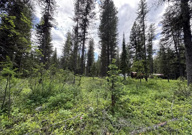 1st image of 768 Deep Woods Trl, Polebridge, MT 59928 | MLS# 30072001