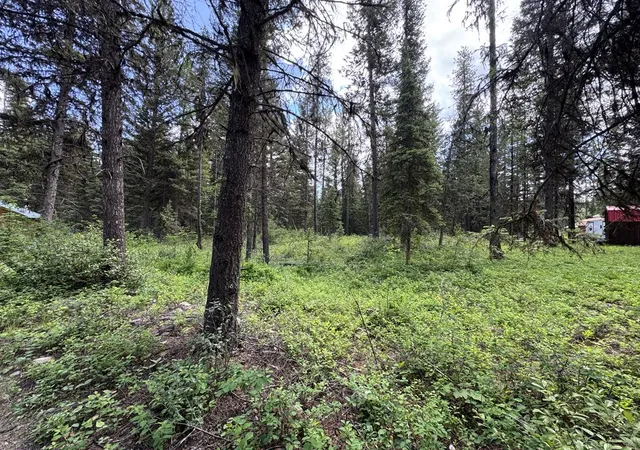 2nd image of 768 Deep Woods Trl, Polebridge, MT 59928 | MLS# 30072001