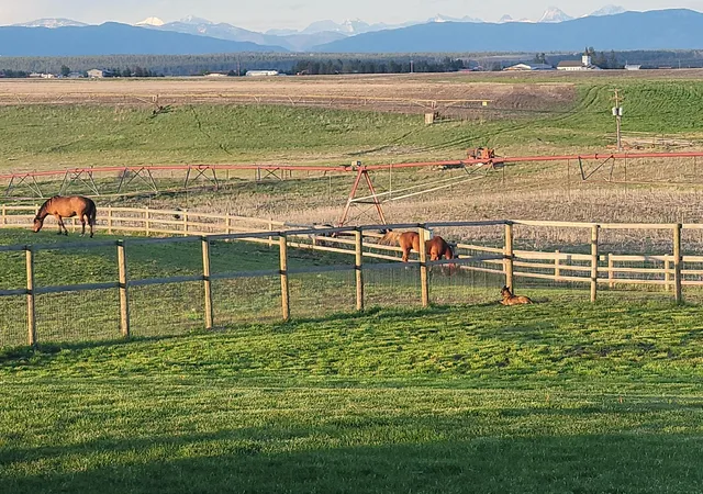 3rd image of 123 Canola Rd, Kalispell, MT 59901 | MLS# 30071472