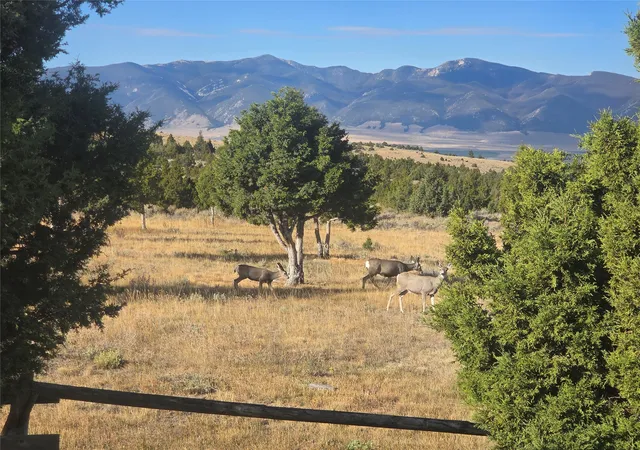Photo 71 of Single family home for sale at 25 Sundowner Rd, Sheridan, MT 59749 | MLS# 30071994 | Listing updated on 2026-08-04