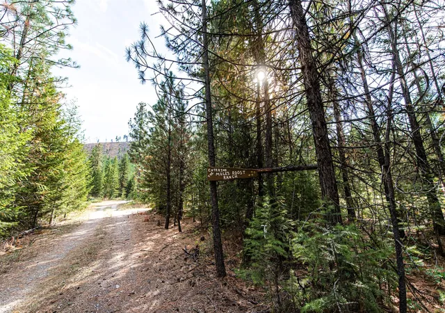 Homes for sale in Superior, MT | 814 Quartz Rd, Superior, MT 59872 | MLS# 30072069