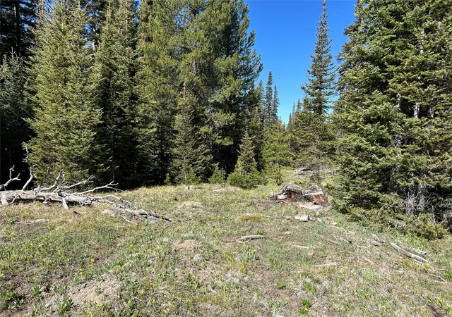 Photo 3 of Land for sale at 384 Crevice Mountain Rd, Gardiner, MT 59030 | MLS# 30072123 | Listing updated on 2026-07-31