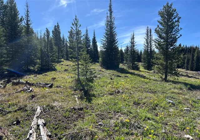 Photo 3 of Land for sale at 384 Crevice Mountain Rd, Gardiner, MT 59030 | MLS# 30072123 | Listing updated on 2026-07-31