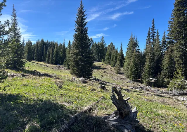 Photo 4 of Land for sale at 384 Crevice Mountain Rd, Gardiner, MT 59030 | MLS# 30072123 | Listing updated on 2026-07-31