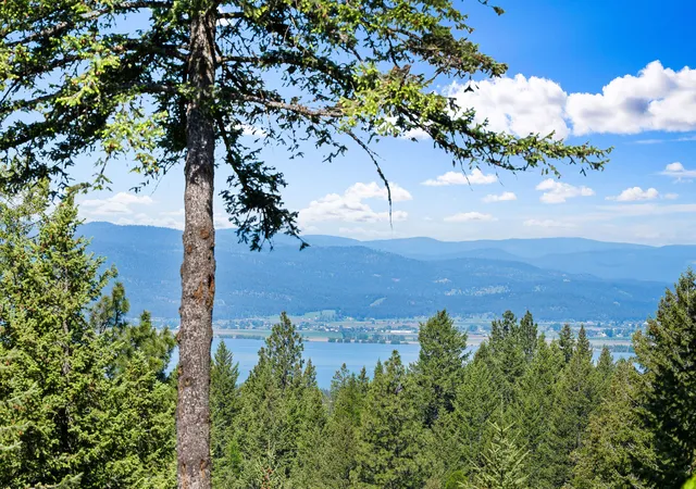 image of 599 Pommel Dr, Bigfork, MT 59911 | MLS# 30071061
