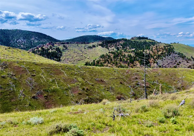 Homes for sale in Townsend, MT | 0 Ridge Rd, Townsend, MT 59644 | MLS# 30072159