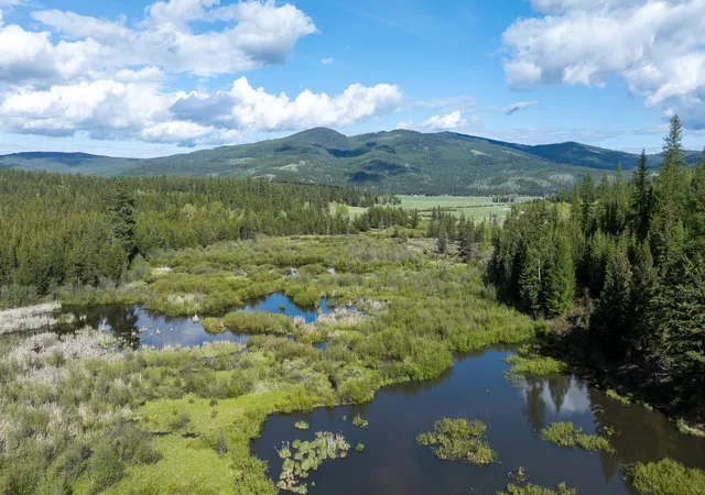 1st image of 3180 Browns Meadow Rd, Kila, MT 59920 | MLS# 30071777