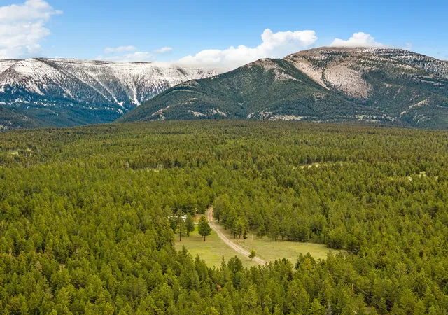 1st image of 125 Golden Bear Ln, Judith Gap, MT 59453 | MLS# 30071498
