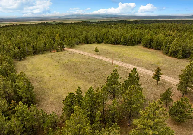 5th image of 125 Golden Bear Ln, Judith Gap, MT 59453 | MLS# 30071498