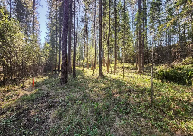1st image of 1505 Kootenai River Rd, Libby, MT 59923 | MLS# 30072139